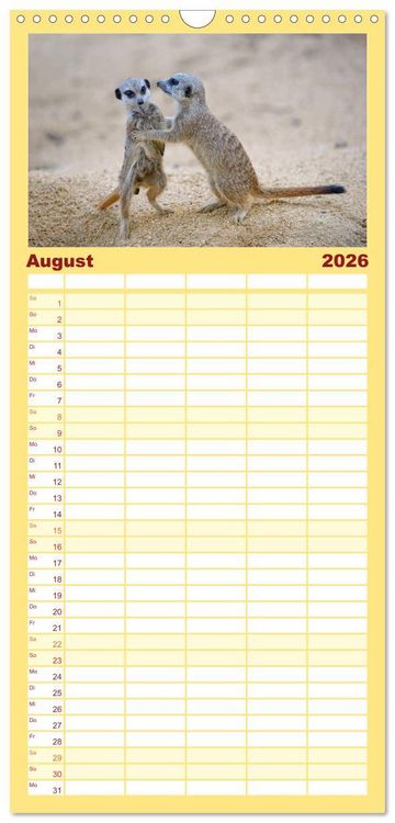 Produktbild: Familienplaner 2026 - Lustige Erdm&auml;nnchen mit 5 Spalten (Wandkalender, 21 x 45 cm) CALVENDO