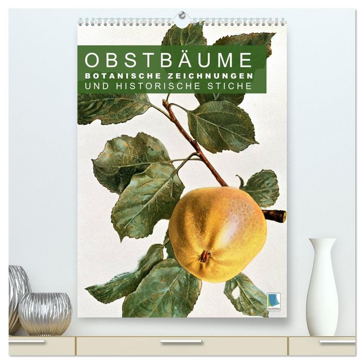 Produktbild: Obstb&auml;ume: Botanische Zeichnungen und historische Stiche (hochwertiger Premium Wandkalender 2026 DIN A2 hoch), Kunstdruck in Hochglanz