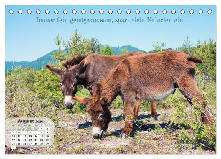 Produktbild: Tierisch und Heiter - Das Leben geht weiter 2026 (Tischkalender 2026 DIN A5 quer), CALVENDO Monatskalender