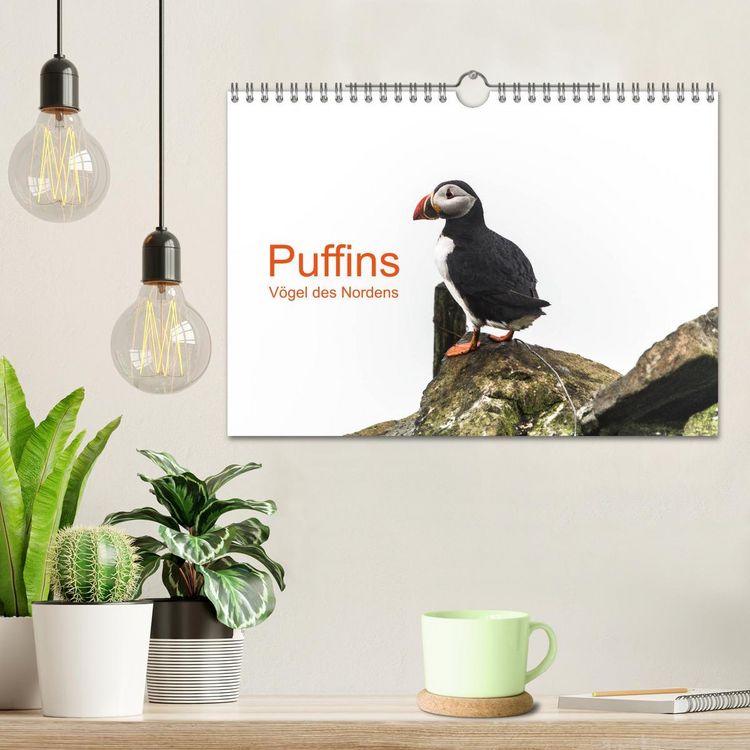 Produktbild: Puffins - V&ouml;gel des Nordens (Wandkalender 2026 DIN A4 quer), CALVENDO Monatskalender