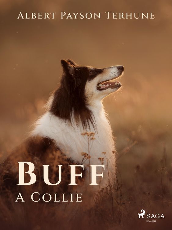 Produktbild: Buff: A Collie