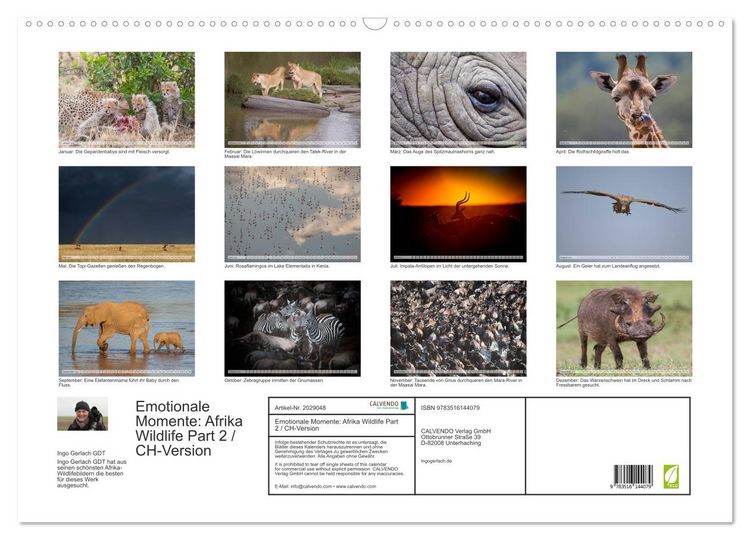 Produktbild: Emotionale Momente: Afrika Wildlife Part 2 / CH-Version (Wandkalender 2026 DIN A2 quer), CALVENDO Monatskalender