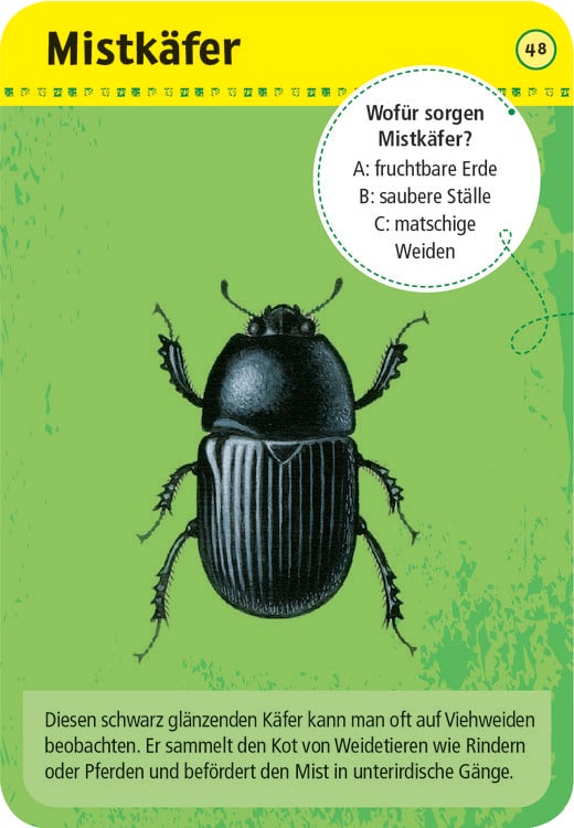 Produktbild: 50 Tiere auf dem Bauernhof