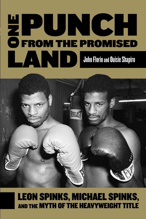 Produktbild: One Punch from the Promised Land