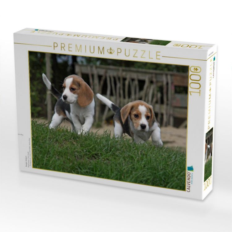 Produktbild: CALVENDO Puzzle Beagle-Welpen | 1000 Teile Lege-Gr&ouml;&szlig;e 64x48cm Foto-Puzzle f&uuml;r gl&uuml;ckliche Stunden