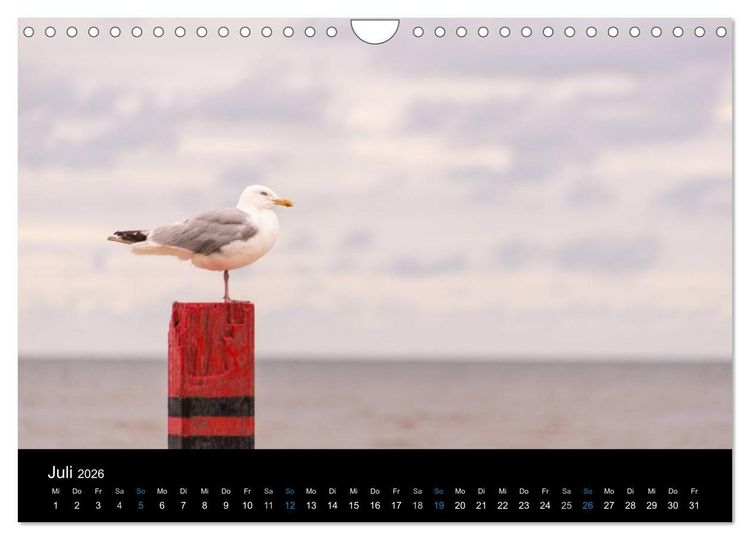 Produktbild: Gr&uuml;&szlig;e aus Texel (Wandkalender 2026 DIN A4 quer), CALVENDO Monatskalender