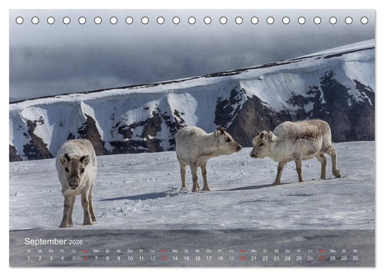 Produktbild: Spitzbergen - Impressionen aus der Arktis (Tischkalender 2026 DIN A5 quer), CALVENDO Monatskalender