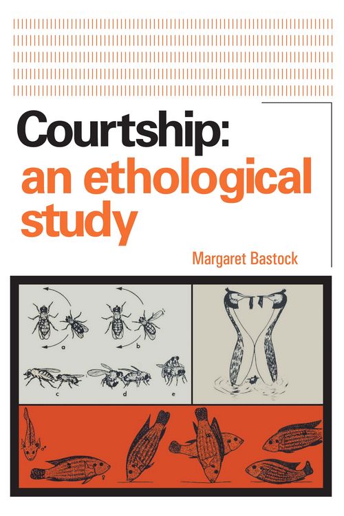Produktbild: Courtship