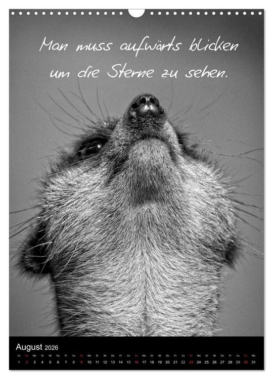 Produktbild: Kluge Spr&uuml;che in Schwarz-Wei&szlig; (Wandkalender 2026 DIN A3 hoch), CALVENDO Monatskalender