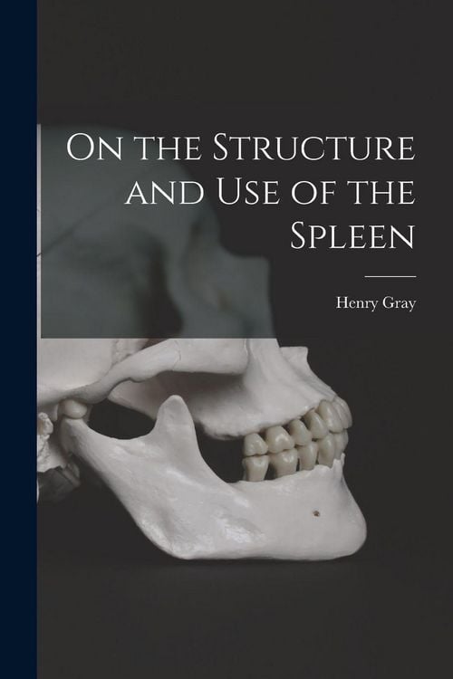Produktbild: On the Structure and Use of the Spleen