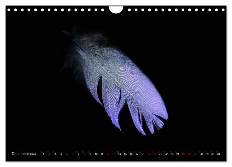 Produktbild: Federleichte Momente (Wandkalender 2026 DIN A4 quer), CALVENDO Monatskalender