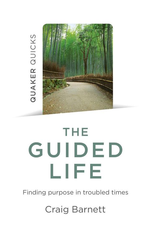 Produktbild: Quaker Quicks - The Guided Life