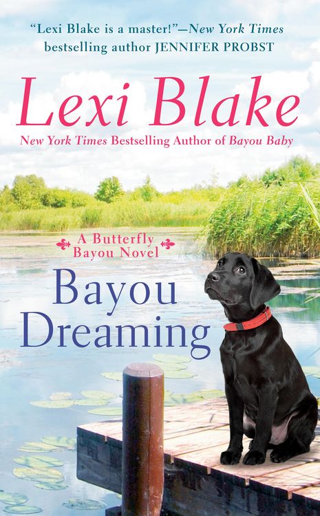 Produktbild: Bayou Dreaming
