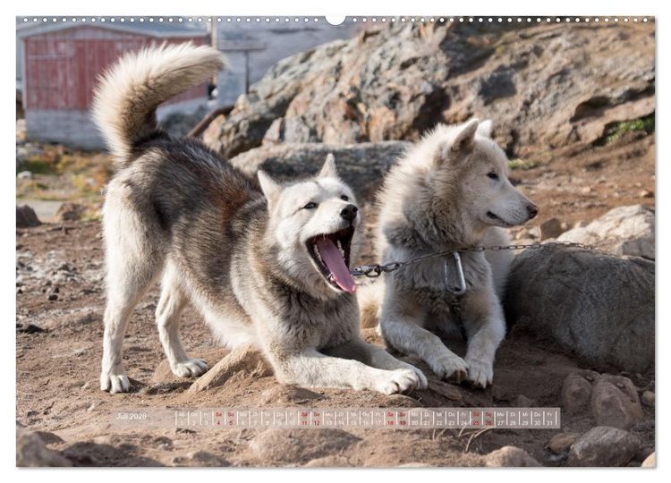 Produktbild: Tasiilaq - Ein kurzer Sommer in Ostgr&ouml;nland (Wandkalender 2026 DIN A2 quer), CALVENDO Monatskalender