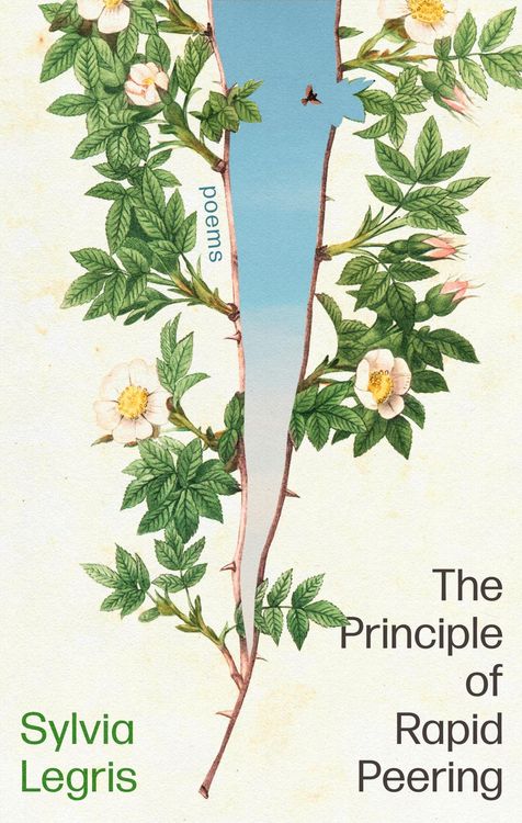 Produktbild: The Principle of Rapid Peering
