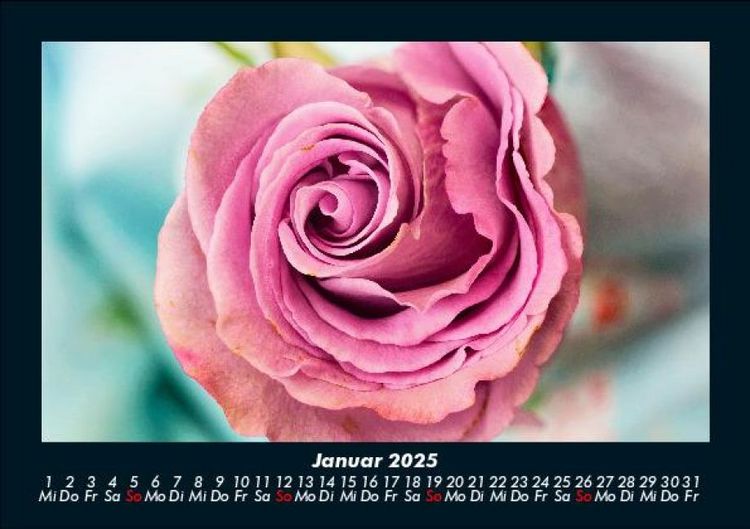 Produktbild: Blumenkalender 2025 Fotokalender DIN A5