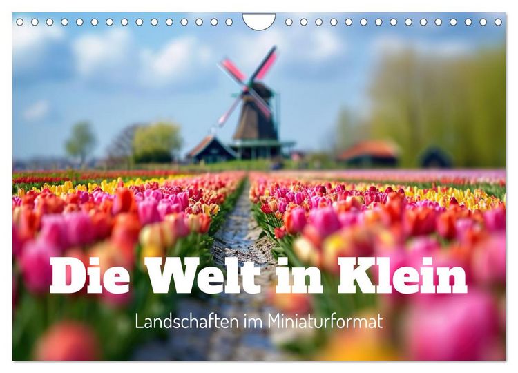 Produktbild: Die Welt in Klein (Wandkalender 2026 DIN A4 quer), CALVENDO Monatskalender