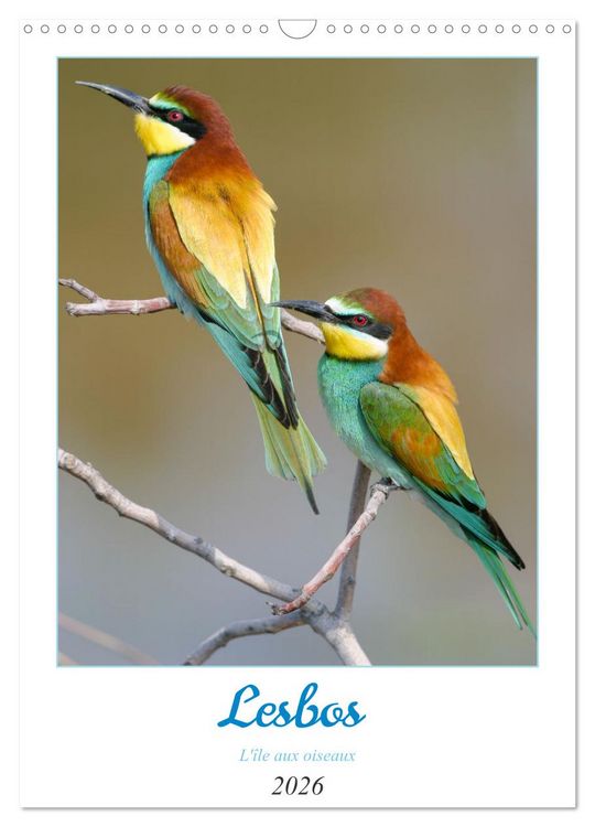 Produktbild: Lesbos l'&icirc;le aux oiseaux (Calendrier mural 2026 DIN A3 horizontal), CALVENDO calendrier mensuel