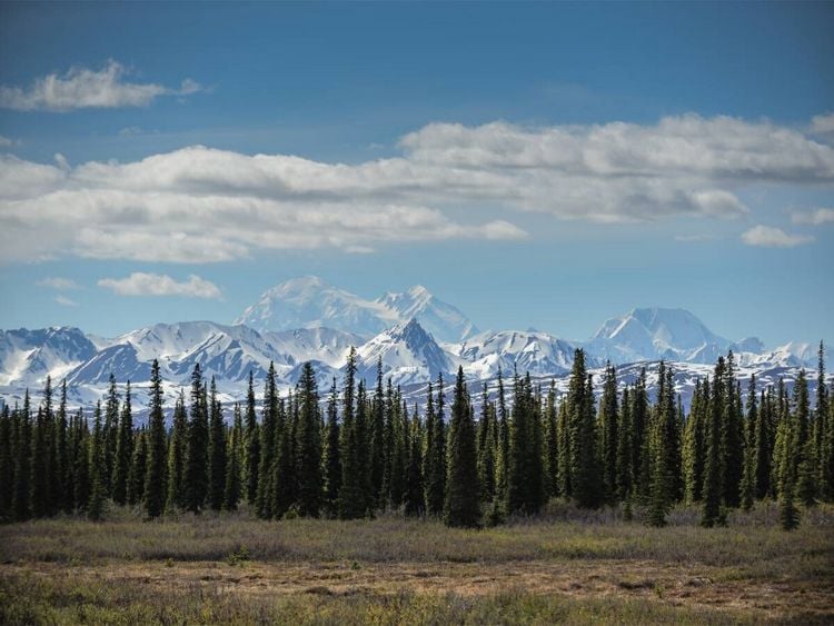 Produktbild: CALVENDO Puzzle Im Denali, Alaska | 1000 Teile Lege-Gr&ouml;&szlig;e 64x48cm Foto-Puzzle f&uuml;r gl&uuml;ckliche Stunden