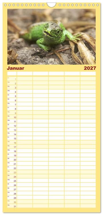 Produktbild: Familienplaner 2027 - Minisaurier im Garten mit 5 Spalten (Wandkalender, 21 x 45 cm) CALVENDO