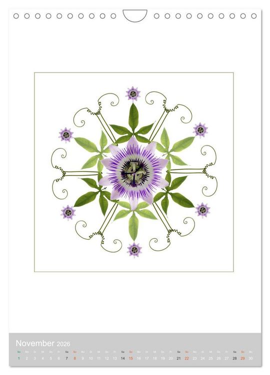 Produktbild: Pflanzen - Mandalas aus Bl&uuml;ten und Bl&auml;ttern (Wandkalender 2026 DIN A4 hoch), CALVENDO Monatskalender