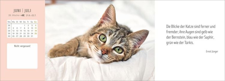 Produktbild: Katzen Premium-Tischplaner 2027 - Der literarische Wochenkalender mit Zitaten
