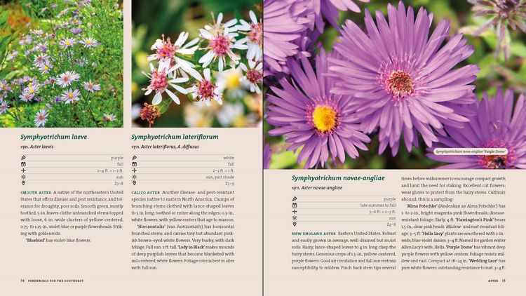Produktbild: Perennials for the Southeast