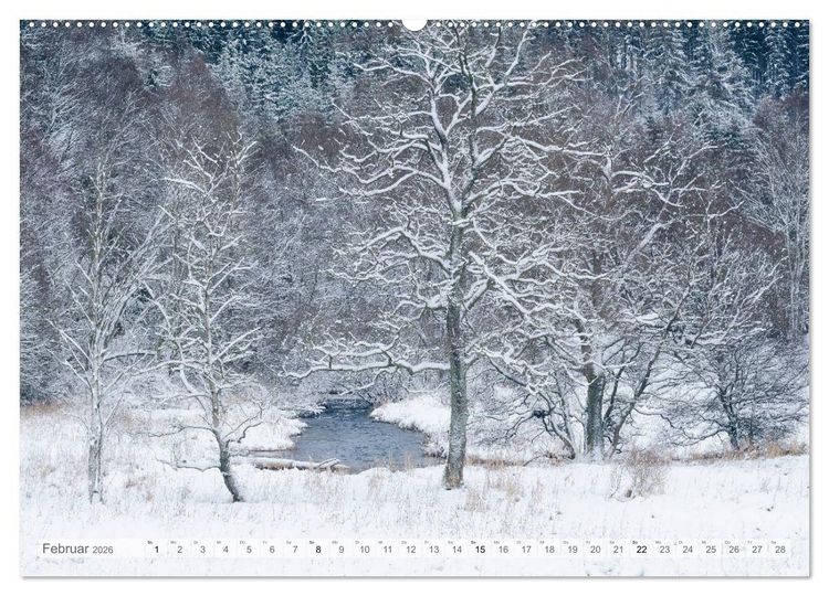 Produktbild: Moore und B&auml;che in Eifel und Ardennen (Wandkalender 2026 DIN A2 quer), CALVENDO Monatskalender