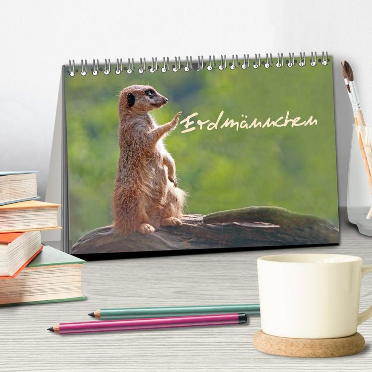 Produktbild: Erdm&auml;nnchen (Tischkalender 2026 DIN A5 quer), CALVENDO Monatskalender
