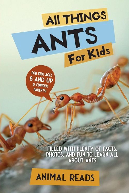 Produktbild: All Things Ants For Kids