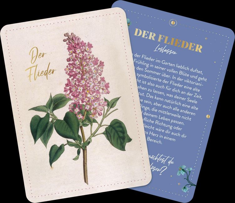Produktbild: Die geheimnisvolle Sprache der Blumen &ndash; 50 Orakelkarten f&uuml;r das ganze Jahr