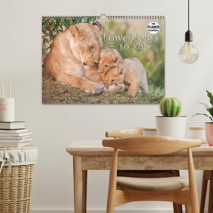 Produktbild: Emotionale Momente: L&ouml;wenbabys - so s&uuml;&szlig;. (Wandkalender 2026 DIN A3 quer), CALVENDO Monatskalender