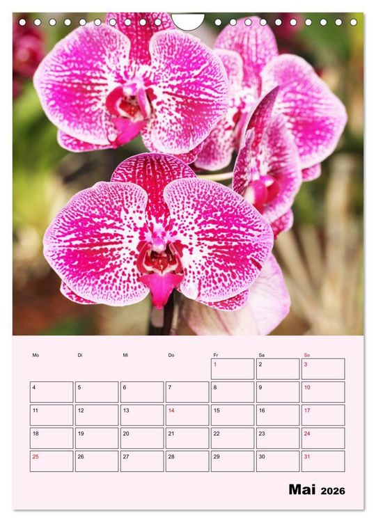 Produktbild: Orchideenliebe (Wandkalender 2026 DIN A4 hoch), CALVENDO Monatskalender
