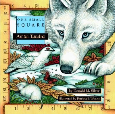 Produktbild: Arctic Tundra
