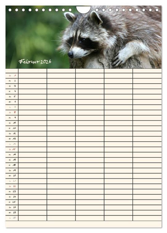 Produktbild: Waschb&auml;ren Familienplaner (Wandkalender 2026 DIN A4 hoch), CALVENDO Monatskalender