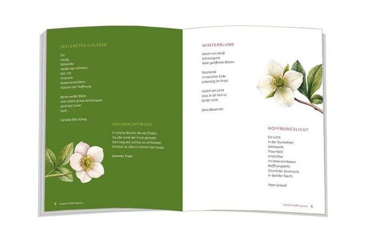 Produktbild: Es bl&uuml;ht eine Rose zur Winterzeit