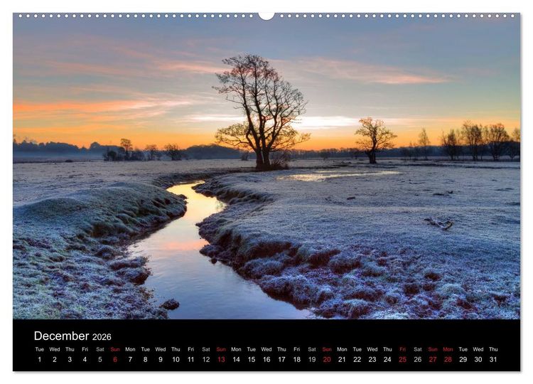 Produktbild: New Forest Hampshire (High Quality Premium Wall Calendar 2026 DIN A2 landscape),CALVENDO 12 Month Wall Calendar