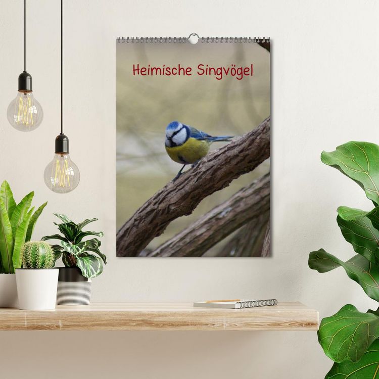 Produktbild: Heimische Singv&ouml;gel (Wandkalender 2026 DIN A3 hoch), CALVENDO Monatskalender