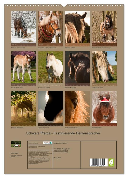 Produktbild: Schwere Pferde - Faszinierende Herzensbrecher (hochwertiger Premium Wandkalender 2026 DIN A2 hoch), Kunstdruck in Hochglanz
