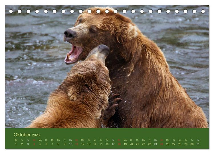 Produktbild: Der B&auml;renkalender 2026 CH-Version (Tischkalender 2026 DIN A5 quer), CALVENDO Monatskalender