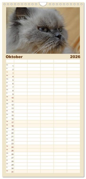 Produktbild: Familienplaner 2026 - Katzen im Portr&auml;t / Geburtstagskalender mit 5 Spalten (Wandkalender, 21 x 45 cm) CALVENDO
