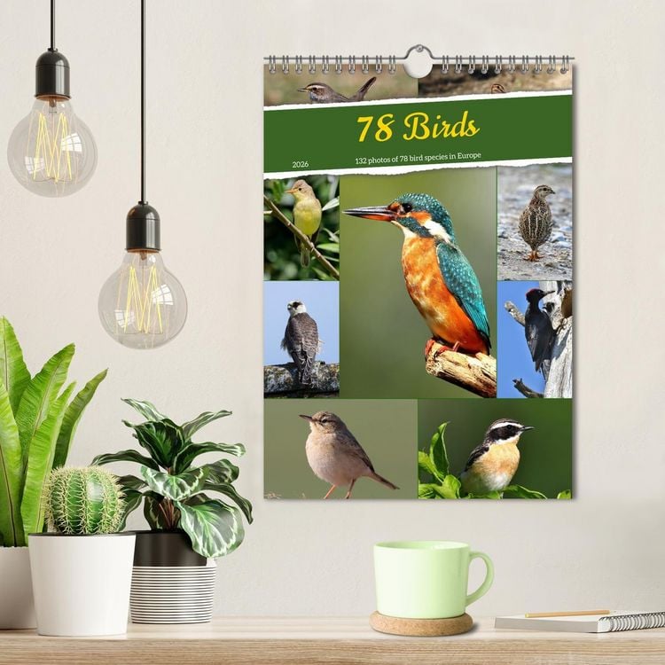 Produktbild: 78 Birds (Wall Calendar 2026 DIN A4 portrait), CALVENDO 12 Month Wall Calendar