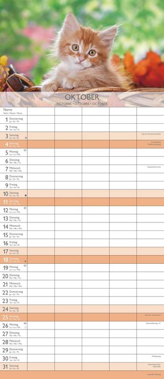 Kätzchen 2026 Familienplaner - Familienkalender - Wandkalender - 19,5x45