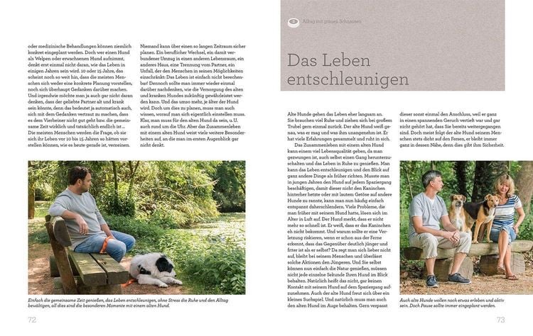Produktbild: Hundesenioren mit Martin R&uuml;tter