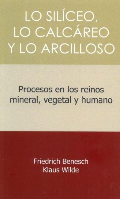 Produktbild: Lo siliceo, lo calcareo y lo arcilloso : procesos en los reinos mineral, vegetal y humano