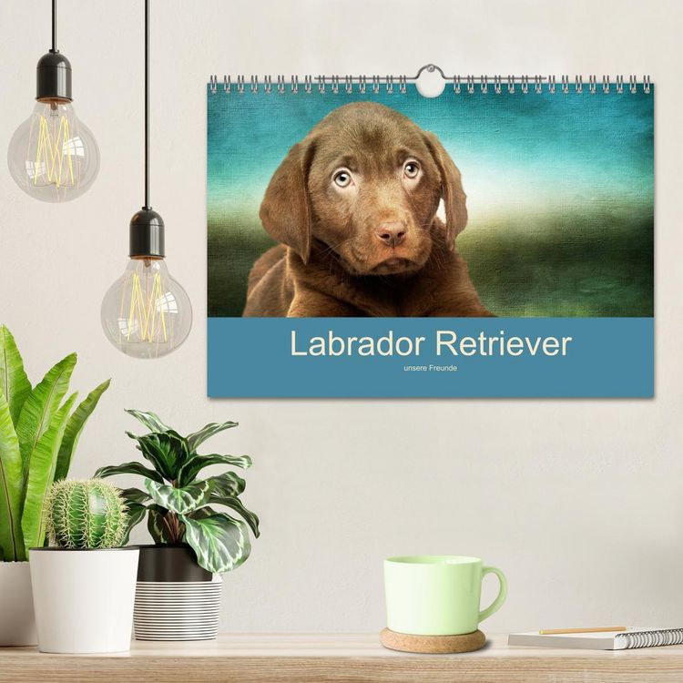 Produktbild: Labrador Retriever unsere Freunde (Wandkalender 2026 DIN A4 quer), CALVENDO Monatskalender