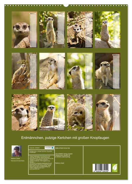 Produktbild: Erdm&auml;nnchen, putzige Kerlchen mit gro&szlig;en Knopfaugen (hochwertiger Premium Wandkalender 2026 DIN A2 hoch), Kunstdruck in Hochglanz