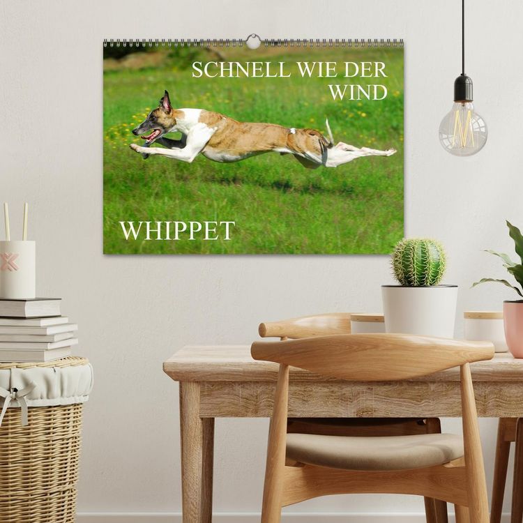 Produktbild: Schnell wie der Wind - Whippet (Wandkalender 2026 DIN A3 quer), CALVENDO Monatskalender