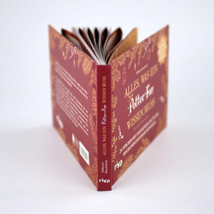 Produktbild: Alles, was ein Potter-Fan wissen muss