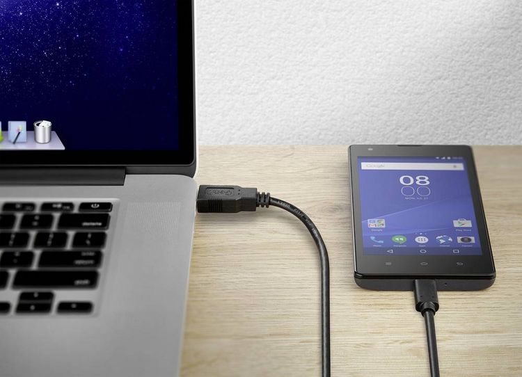 Produktbild: Renkforce USB-Kabel USB 3.2 Gen2 USB-A Stecker, USB-C&reg; Stecker 0.15 m Schwarz vergoldete Steckkontakte RF-3241264